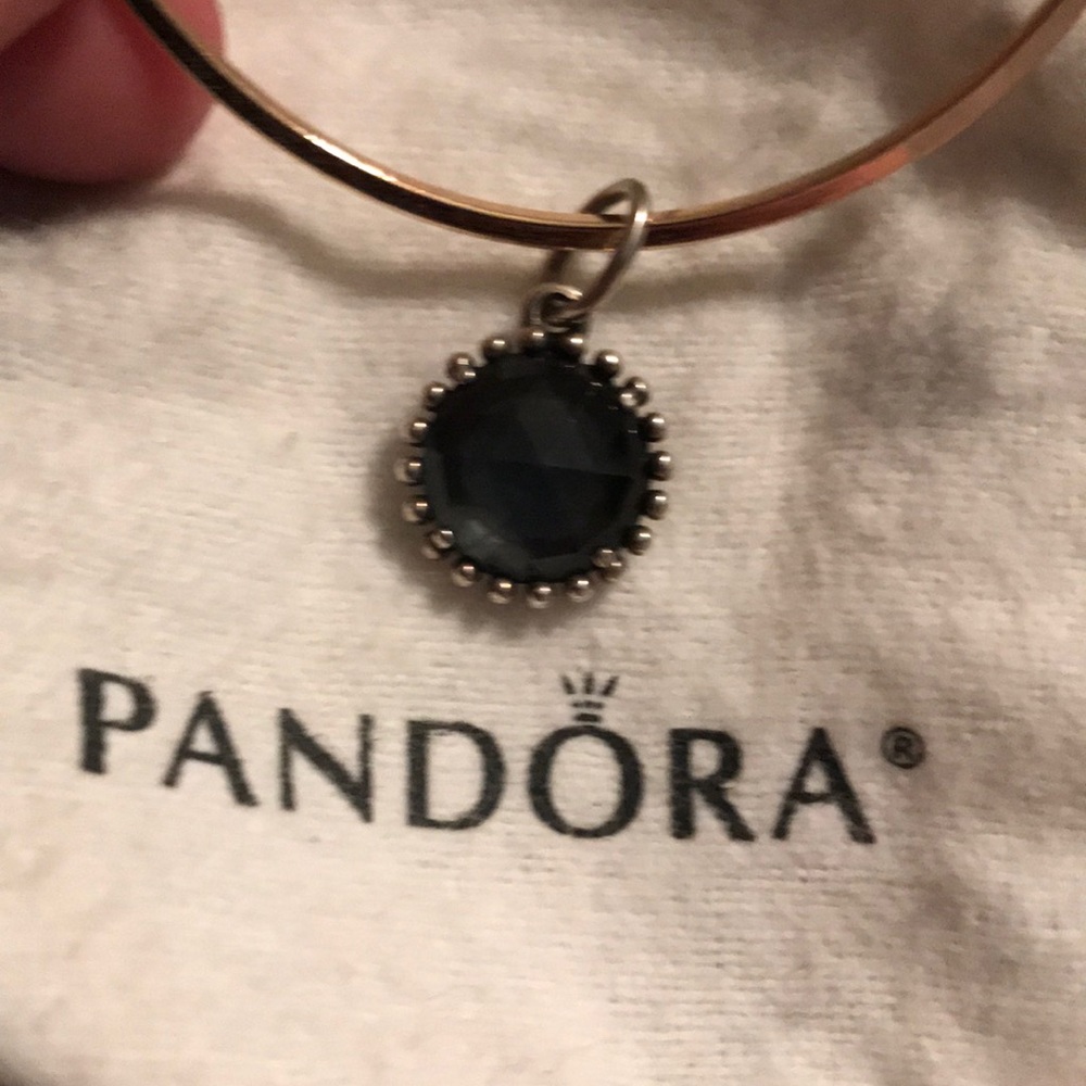 Pandora Charm/Pendant